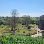 In Dai Nonni